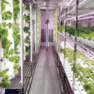 What if you dream of starting a farm but live in a city with no access to fertile land? Meet the Greenwon, a revolutionary solution that packs a fully-equipped hydroponic greenhouse into a 320-square-foot shipping container. Designed to fit effortlessly in a backyard, this system uses vertical farming with stacked rows of hydroponically grown plants. Incredibly, the space-saving design of the Greenwon allows it to produce the equivalent of a full acre of lettuce (2,200 square feet) within its compact footprint. This makes urban farming not only feasible but incredibly efficient, even in the most space-constrained environments.
