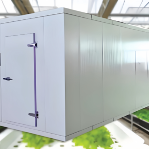 What if you dream of starting a farm but live in a city with no access to fertile land? Meet the Greenwon, a revolutionary solution that packs a fully-equipped hydroponic greenhouse into a 320-square-foot shipping container. Designed to fit effortlessly in a backyard, this system uses vertical farming with stacked rows of hydroponically grown plants. Incredibly, the space-saving design of the Greenwon allows it to produce the equivalent of a full acre of lettuce (2,200 square feet) within its compact footprint. This makes urban farming not only feasible but incredibly efficient, even in the most space-constrained environments.